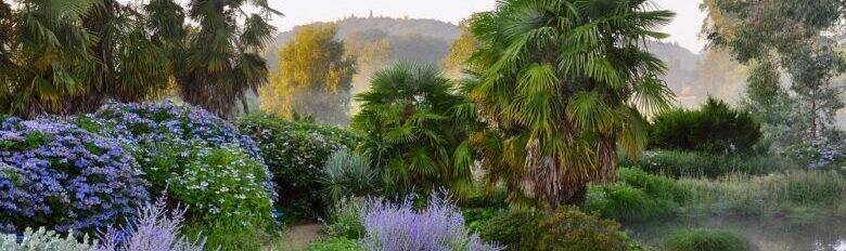 Air Breizh' profile cover