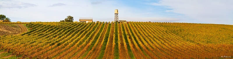 Climate First: Replacing Oil and Gas (CFROG)' profile cover