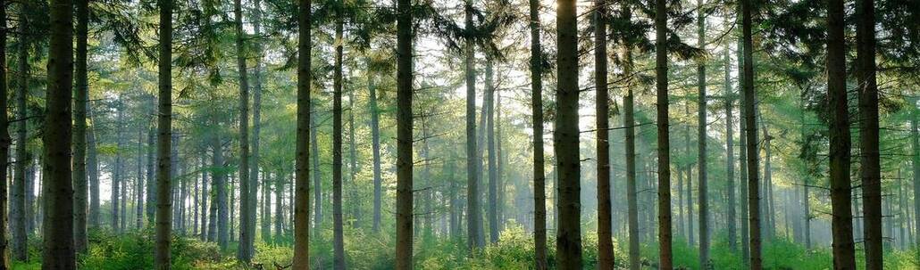 Clean Air Partners' profile cover