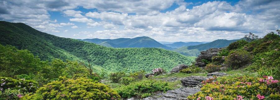 CleanAIRE NC' profile cover