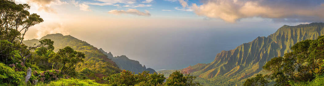 Hawaii State Department of Health' profile cover