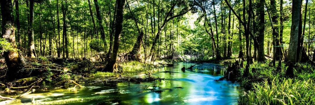 Florida Department of Environmental Protection (Florida DEP)' profile cover