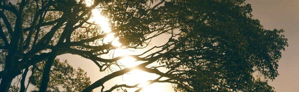 Imperial County Air Pollution Control District (ICAPCD)' profile cover