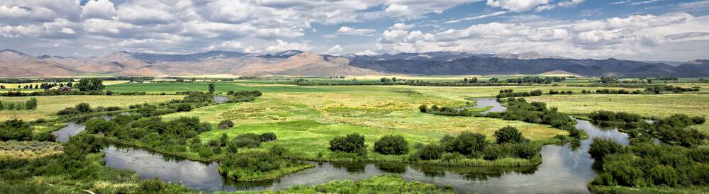 Indiana Department of Environmental Management (IDEM)' profile cover