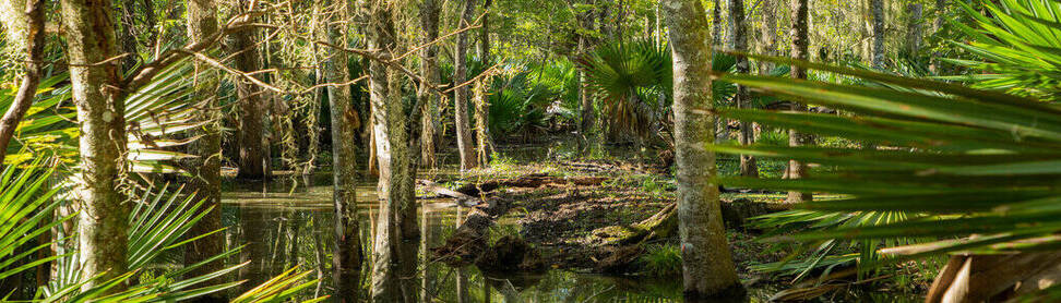 Louisiana Department of Environmental Quality (LDEQ)' profile cover