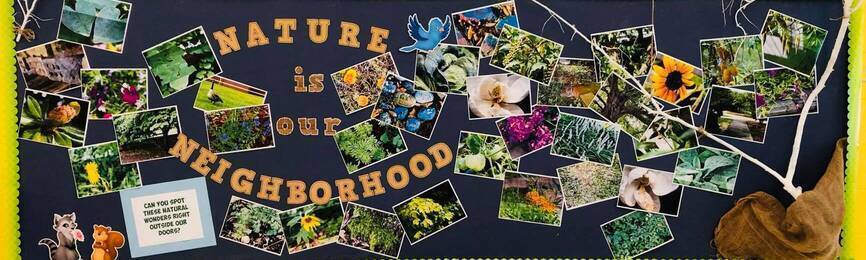 Millbrook Magnet Elementary School' profile cover