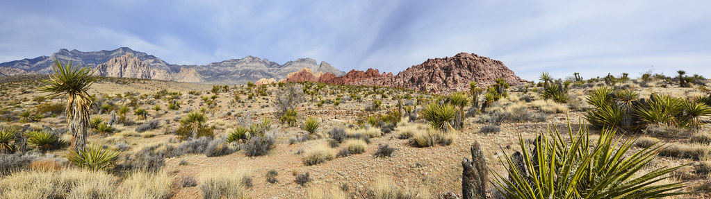 Mojave Desert Air Quality Management District (MDAQMD)' profile cover