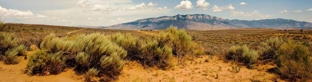 New Mexico Environment Department (NMED)' profile cover