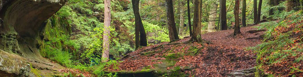 Ohio Environmental Protection Agency (Ohio EPA)' profile cover