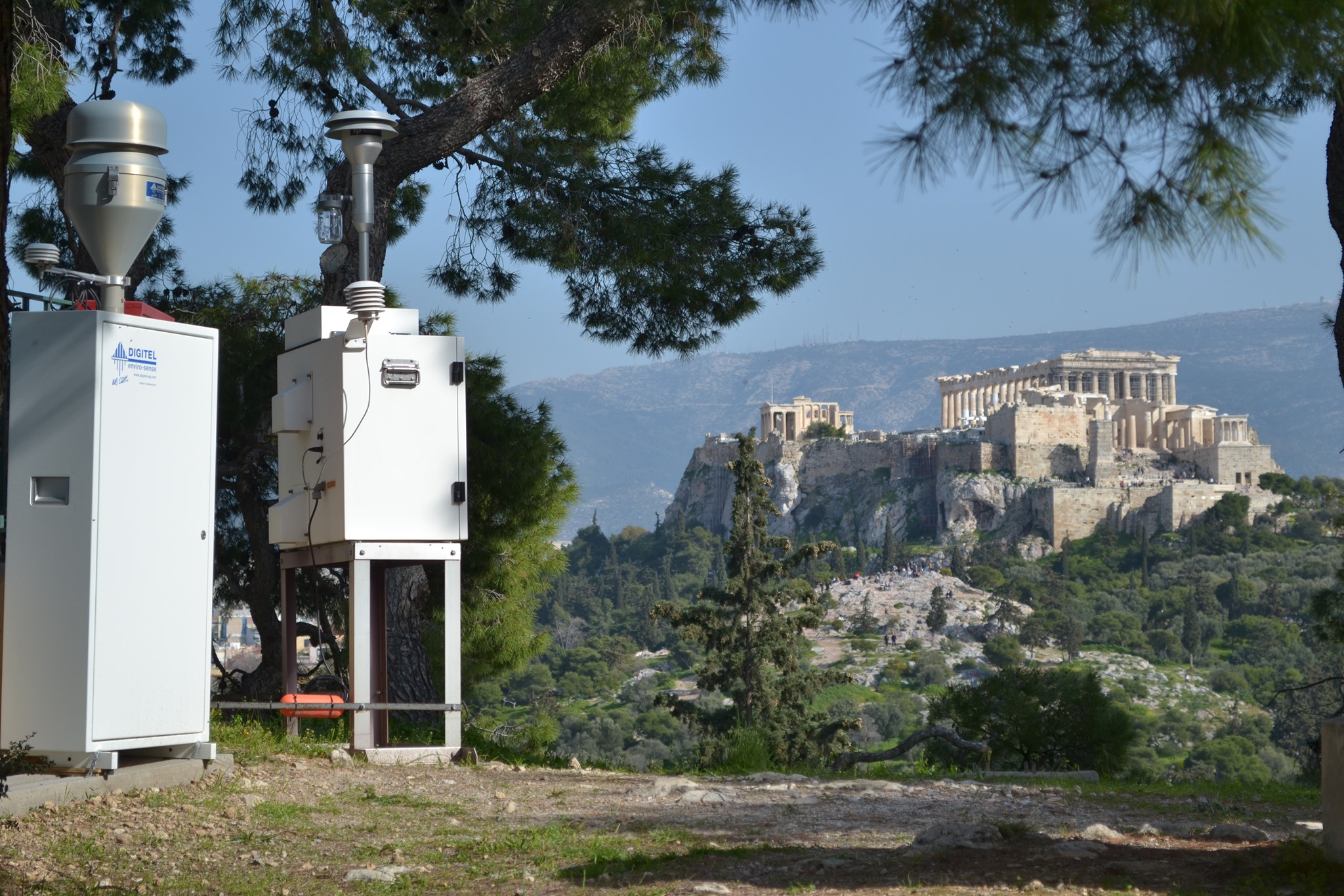 PANACEA' profile cover