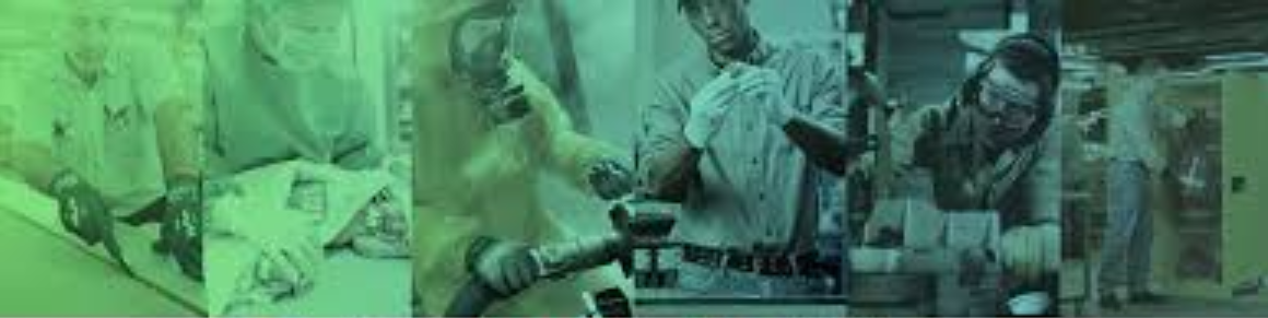 Phol Dhanya PCL' profile cover