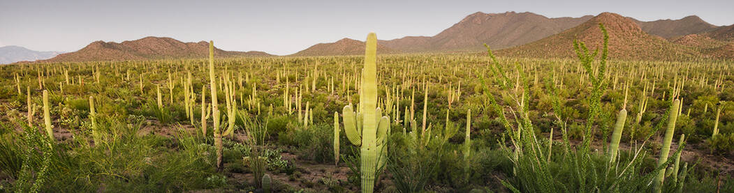 Pima County Department of Environmental Quality (PDEQ) ' profile cover
