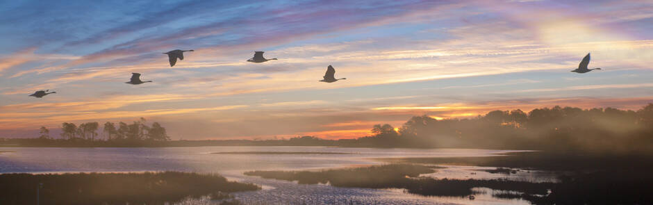 U.S. Fish and Wildlife Service (USFWS)' profile cover